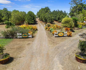 Rural / Farming commercial property sold at 164 Old Bruce Highway Owanyilla QLD 4650