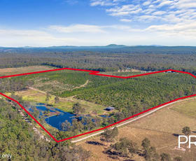 Rural / Farming commercial property for sale at 164 Old Bruce Highway Owanyilla QLD 4650