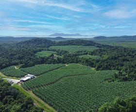 Rural / Farming commercial property sold at 1300 Tully Mission Beach Road Carmoo QLD 4852