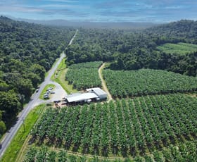 Rural / Farming commercial property sold at 1300 Tully Mission Beach Road Carmoo QLD 4852