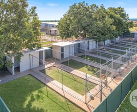Other commercial property for sale at Precious Pets Boarding Kennel and Cattery Tamworth NSW 2340