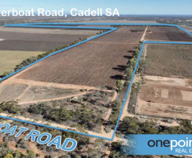 Rural / Farming commercial property for sale at 126 Riverboat Road Cadell SA 5321