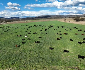 Rural / Farming commercial property sold at 1380 Bezzants Road Deepwater NSW 2371