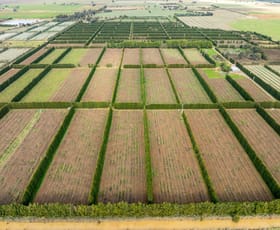 Rural / Farming commercial property sold at Bunbartha VIC 3634