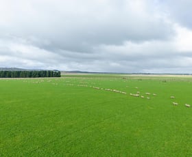 Rural / Farming commercial property for sale at Evandale TAS 7212