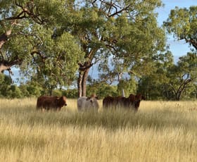 Rural / Farming commercial property sold at Bauhinia QLD 4718
