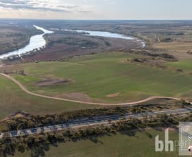 Rural / Farming commercial property for sale at Pieces 24 & 25 Hunter Road Bowhill SA 5238
