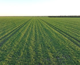 Rural / Farming commercial property sold at Springsure QLD 4722