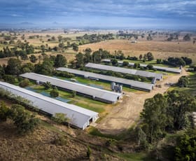 Rural / Farming commercial property for sale at 41 Hill End Road Cryna QLD 4285