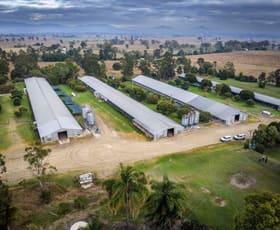 Rural / Farming commercial property for sale at 41 Hill End Road Cryna QLD 4285