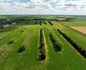 Rural / Farming commercial property for sale at 584 Strathallan Road Bamawm VIC 3561