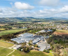 Rural / Farming commercial property for sale at Richmond Grove 21 Para Road Tanunda SA 5352