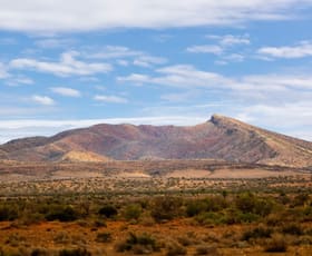 Rural / Farming commercial property for sale at Martins Well Station 2101 Erudina Road Martins Well SA 5440