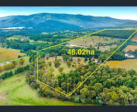Rural / Farming commercial property for sale at VIC