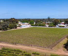 Rural / Farming commercial property for sale at 9 Saltmarsh Road Langhorne Creek SA 5255