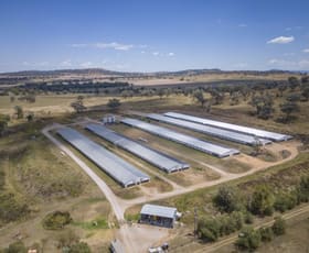 Rural / Farming commercial property for sale at Burrii 2797 Manilla Road Attunga NSW 2345