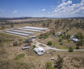 Rural / Farming commercial property for sale at Burrii 2797 Manilla Road Attunga NSW 2345