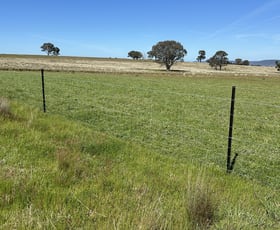 Rural / Farming commercial property for sale at 424 Trebane Road Crowther NSW 2803