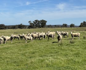 Rural / Farming commercial property for sale at 424 Trebane Road Crowther NSW 2803