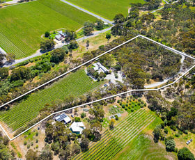 Hotel, Motel, Pub & Leisure commercial property for sale at 190 McMurtrie Road Mclaren Vale SA 5171