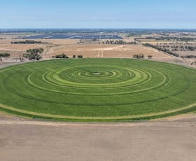 Rural / Farming commercial property for sale at 1259 Mason Road Girgarre VIC 3624