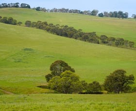 Rural / Farming commercial property leased at 593 Balochile Road Coleraine VIC 3315