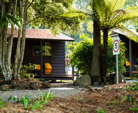 Hotel, Motel, Pub & Leisure commercial property for sale at Dorrigo NSW 2453