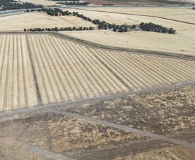 Rural / Farming commercial property for sale at Farm 25/1354 Main Canal Road Coleambally NSW 2707