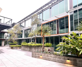Offices commercial property sold at 142/117 Old Pittwater Road Road Brookvale NSW 2100