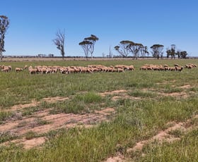 Rural / Farming commercial property for sale at Doodlakine South Road South Doodlakine WA 6411