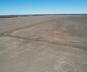 Rural / Farming commercial property for sale at 14787 Lachlan Valley Way Kiacatoo NSW 2877