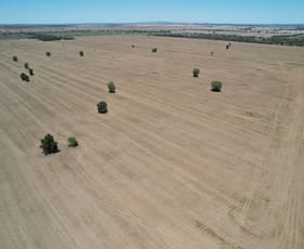 Rural / Farming commercial property for sale at 14787 Lachlan Valley Way Kiacatoo NSW 2877