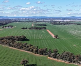 Rural / Farming commercial property for sale at Allengrove Aggregati Warregal Road Tichborne NSW 2870
