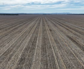 Rural / Farming commercial property for sale at Allengrove Aggregati Warregal Road Tichborne NSW 2870