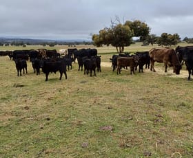 Rural / Farming commercial property for sale at 1564 Edison Mill Road Dale WA 6304