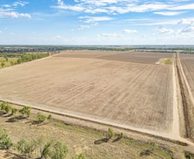 Rural / Farming commercial property sold at 1389 Wambianna Road Gin Gin NSW 2823