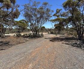 Development / Land commercial property for sale at 12 Atriplex Road Kambalda West WA 6442