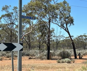Development / Land commercial property for sale at 12 Atriplex Road Kambalda West WA 6442