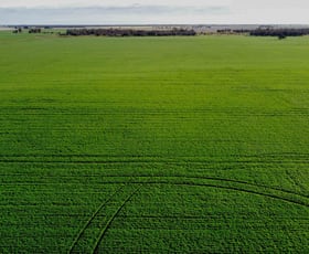 Rural / Farming commercial property for sale at Minyip VIC 3392