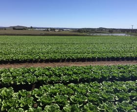 Rural / Farming commercial property for sale at 189 Toowoomba-Karara Road Finnie QLD 4350