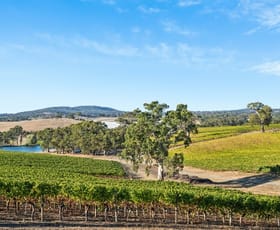 Rural / Farming commercial property sold at 160 Newman Road Charleston SA 5244