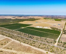Rural / Farming commercial property for sale at 331 Sappers Road Karakin WA 6044
