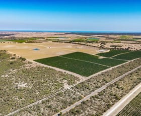 Rural / Farming commercial property for sale at 331 Sappers Road Karakin WA 6044