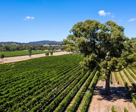 Rural / Farming commercial property for sale at 63 Days Road Kangarilla SA 5157