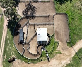 Rural / Farming commercial property for sale at 555 Palgrave Road Dalveen QLD 4374