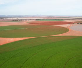 Rural / Farming commercial property for sale at 2451 Lachlan River Road Hillston NSW 2675