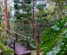 Other commercial property for sale at 636 Palmwoods-Montville Road Montville QLD 4560