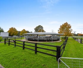 Other commercial property for sale at 1-7 St Aubins Street Scone NSW 2337