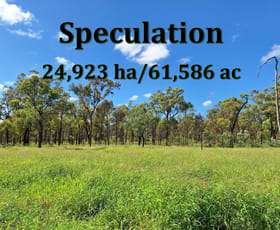 Rural / Farming commercial property for sale at 6743 Dunrobin Road Jericho QLD 4728
