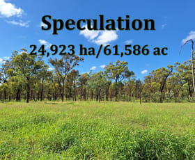 Rural / Farming commercial property for sale at 6743 Dunrobin Road Jericho QLD 4728